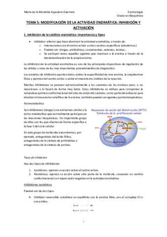 Tema-5-enzimo-Monti.pdf