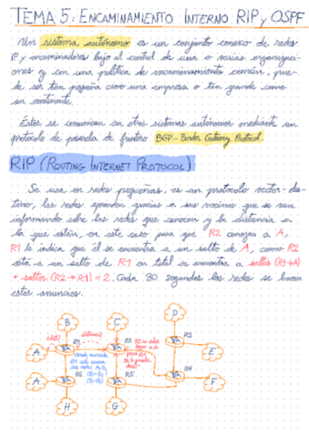 Tema-4-Encaminamiento-interno-RIP-y-OSPF.pdf