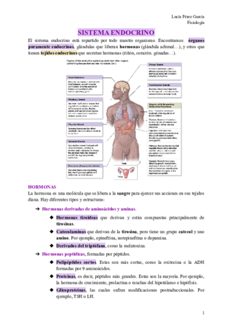 SISTEMA-ENDOCRINO-1.pdf