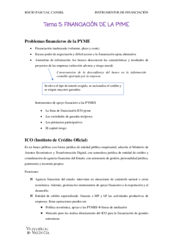 TEMA5IFEROCIO-PASCUAL.pdf