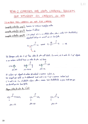 Tema-2-Carboni-alfa.pdf