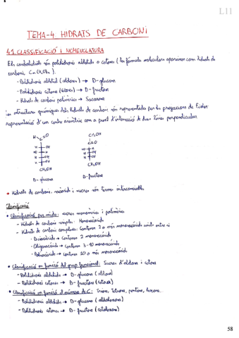 Tema-4-Hidrats-de-Carboni.pdf