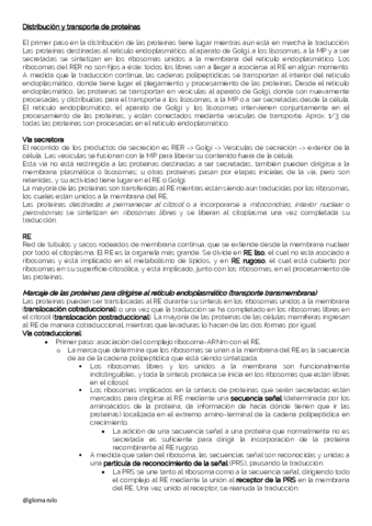 Distribucion-y-transporte-de-proteinas-glomarulo.pdf