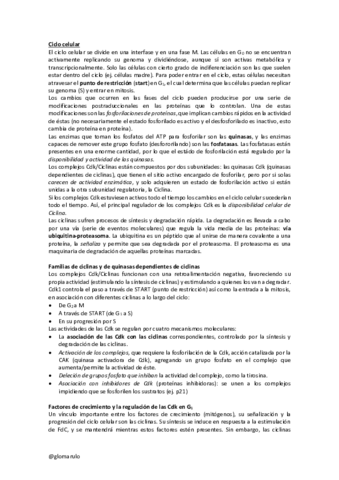 Regulacion-ciclo-celular-glomarulo.pdf