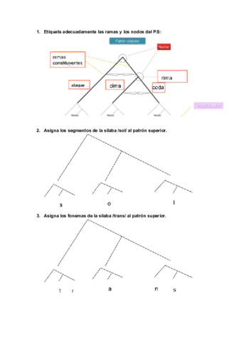 PRACTICAS-MS.pdf