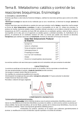 Tema-8-Enzimas.pdf