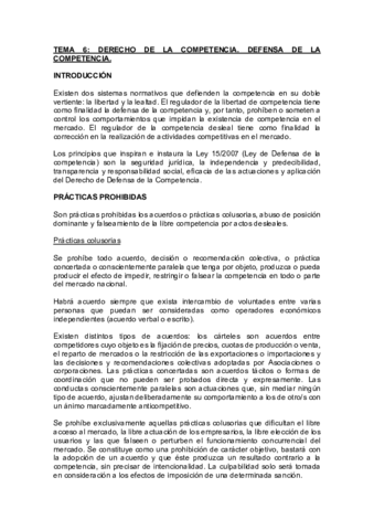 Tema-6-Derecho-Mercantil-I.pdf