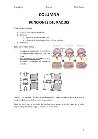COLUMNA.pdf