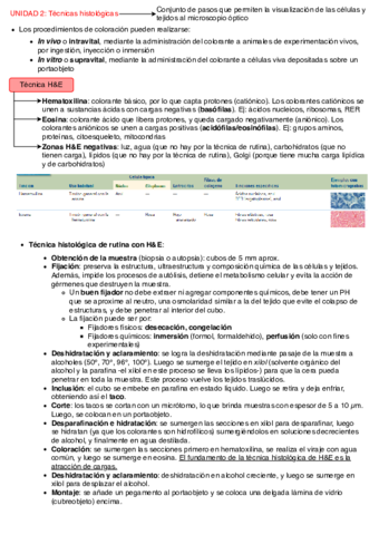 Histologia-1Bglomarulo.pdf