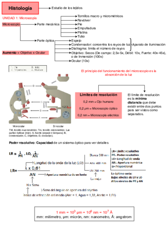 Histologia-1Aglomarulo.pdf