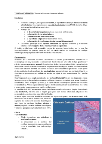 Histologia-4glomarulo.pdf