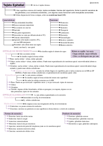 Histologia-2glomarulo.pdf