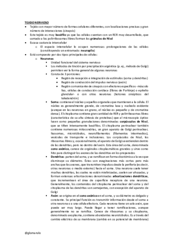 Histologia-6-glomarulo.pdf