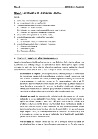 TEMA-9.pdf