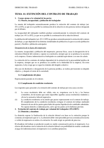 TEMA-11.pdf
