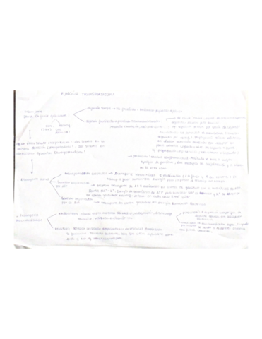 Scanned-Documents-2.pdf