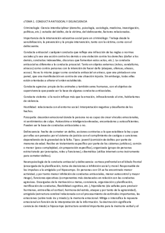 RESUMEN-CHICA-Y-CHICO.pdf