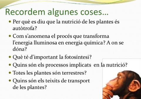 Nutricio-plantes.pdf