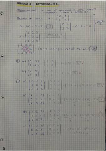 Unidad-2-DETERMINANTES.pdf