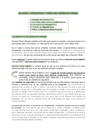 Derecho-Penal-BLOQUE-I.pdf