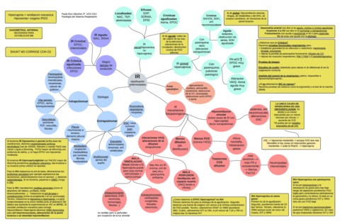 ESQUEMA-IR-NEUMO.pdf