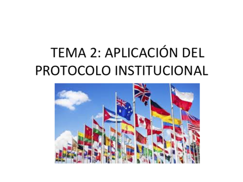 APLICACION-DEL-PROTOCOLO-INSTITUTCIONALDUAL.pdf