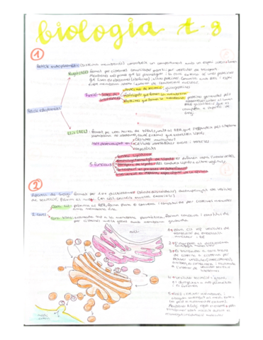 Organuls-cellulars-membranosos.pdf