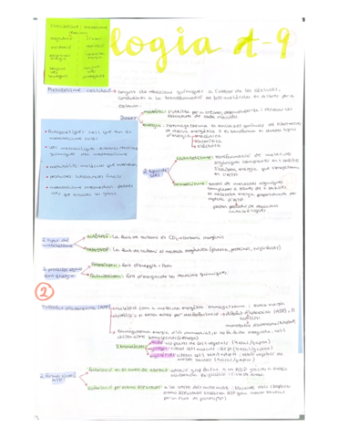 Metabolisme-i-enzims.pdf