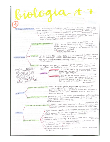 Membrana-plasmatica-i-organuls-no-membranosos.pdf
