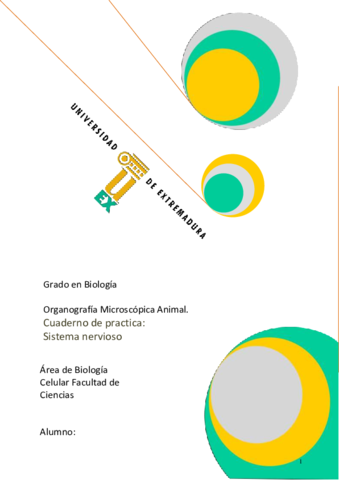Practica-6-Sistema-Nervioso.pdf