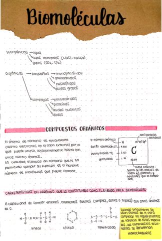 Pequenas-Moleculas-Organicas.pdf