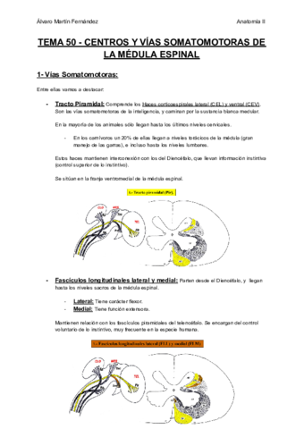 TEMA-50-CENTROS-Y-VIAS-SOMATOMOTORAS-DE-LA-MEDULA-ESPINAL.pdf