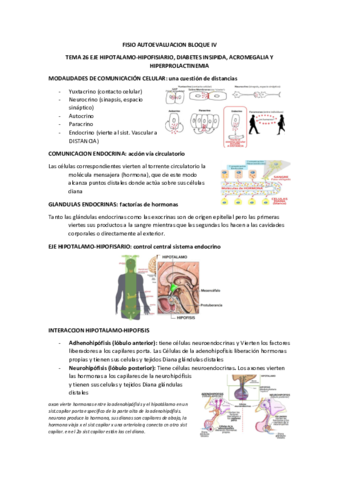 Fisio temas 26-33.pdf