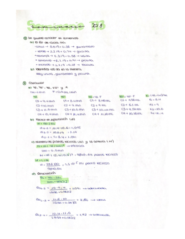 Seminario-T13.pdf