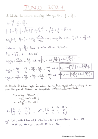 ExamenAlgebraJunio2021.pdf