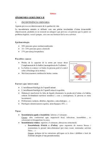 TEMA-4.pdf