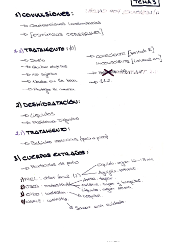 tema-3-de-primeros-auxilios.pdf