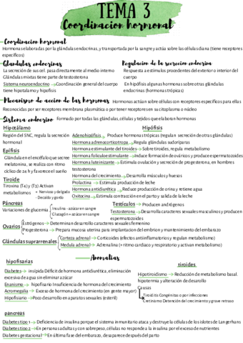 anatomia-3.pdf