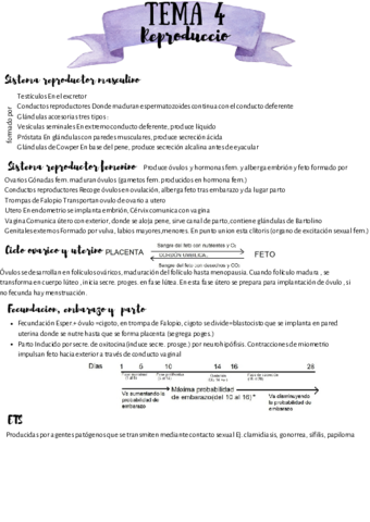 anatomia-4.pdf