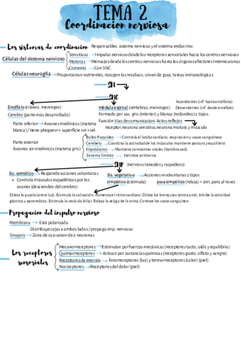 anatomia-2-.pdf