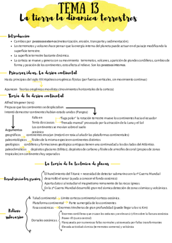 bio-13.pdf