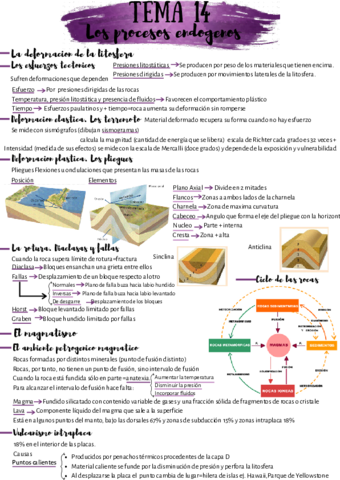 bio-14-.pdf