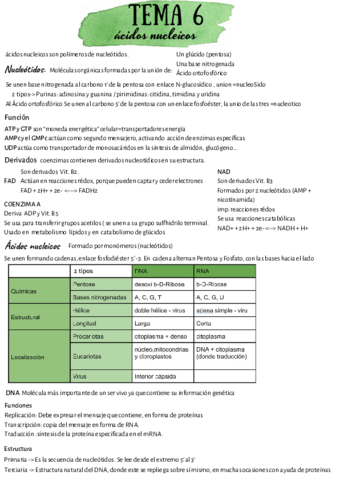 bio-6-2.pdf
