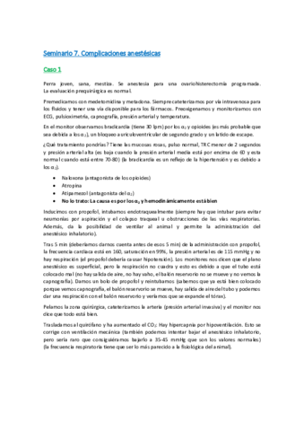 Seminario-7.pdf