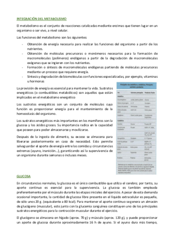 METABOLIS-III-Y-VEGETAL.pdf