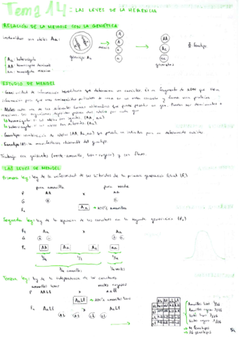 Genetica-y-evolucion.pdf