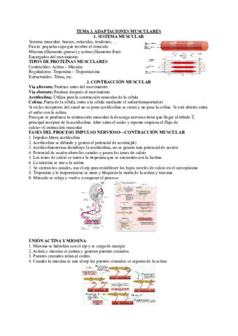 TEMA-3-ADAPTACIONES-MUSCULARES.pdf