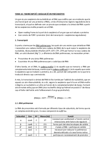 tema 16 transcripció en procariotes.pdf