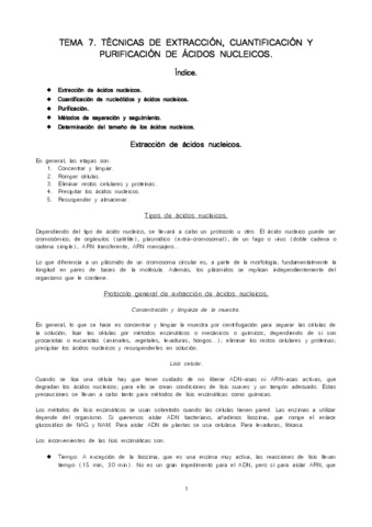 Apuntes Tema 7 - MIC.pdf