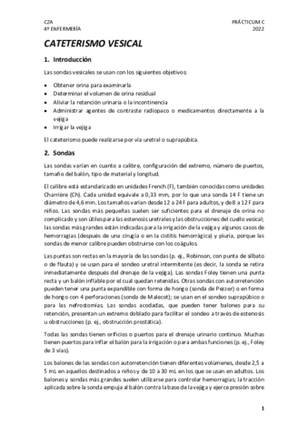 CATETERISMO-VESICAL.pdf
